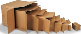 Mudanzas profesionales